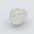 Oud Tibetaans of Nepalees Rock Crystal Ritual Conh Shell -