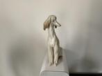 Lladró - Figurine - Afghaanse windhond - Porcelaine