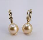 Oorbellen - 14 karaat Geel goud, 11x12mm gouden South Sea, Handtassen en Accessoires, Oorbellen, Nieuw