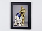 Star Wars, R2-D2 & C-3PO - Droids - Fine Art Photography -, Verzamelen, Nieuw