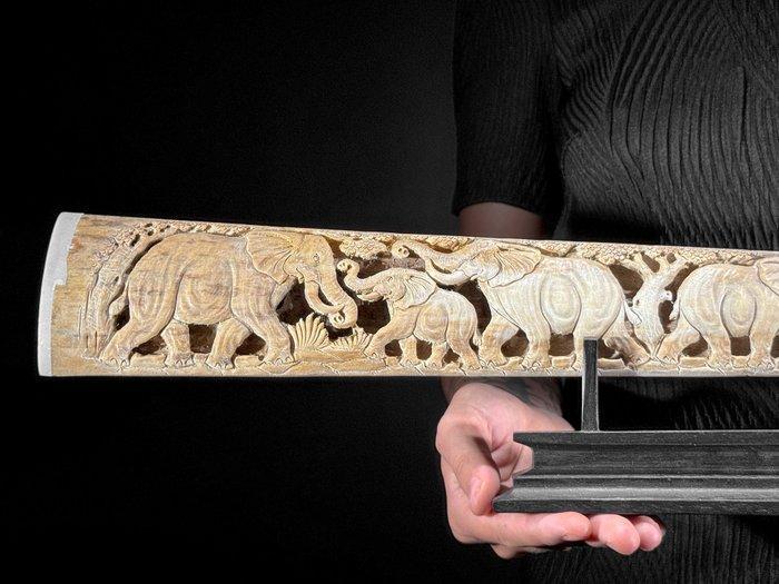 GEEN RESERVEPRIJS - Een grote gebeeldhouwde zwaardviskaak op, Antiek en Kunst, Kunst | Designobjecten