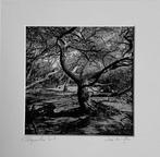 José Nicolas (1956) - Porquerolles, les végetaux