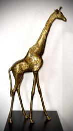 Abdoulaye Derme - Sculpture, Grande Girafe - 63 cm - 63 cm -, Antiek en Kunst