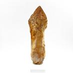Grote kwarts-scepter van 12 cm! Madagaskar Kristallen op, Verzamelen, Mineralen en Fossielen