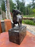 after Louis Carvin - sculptuur, Statige koe - 2,3 kg - 18 cm, Antiek en Kunst