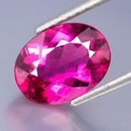 1 pcs Roze Toermalijn - 2.81 ct - nternational Colored, Nieuw