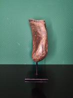 Buffel Hoorns - Bovidae - 30 cm - 17 cm - 0 cm - (1)