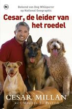 Cesar, de leider van het roedel - Cesar Millan, Melissa Jo P, Boeken, Verzenden, Nieuw