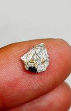 Zeldzame meteoriet van asteroïde 2023 CX1 -, Verzamelen