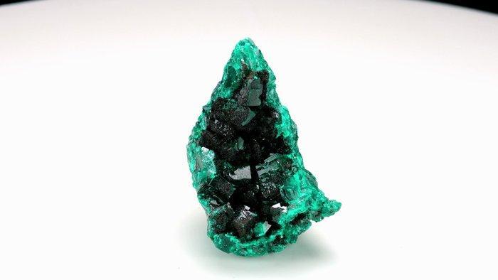 dioptase - Renéville, Copper Crescent, DR Congo - Hoogte:, Collections, Minéraux & Fossiles