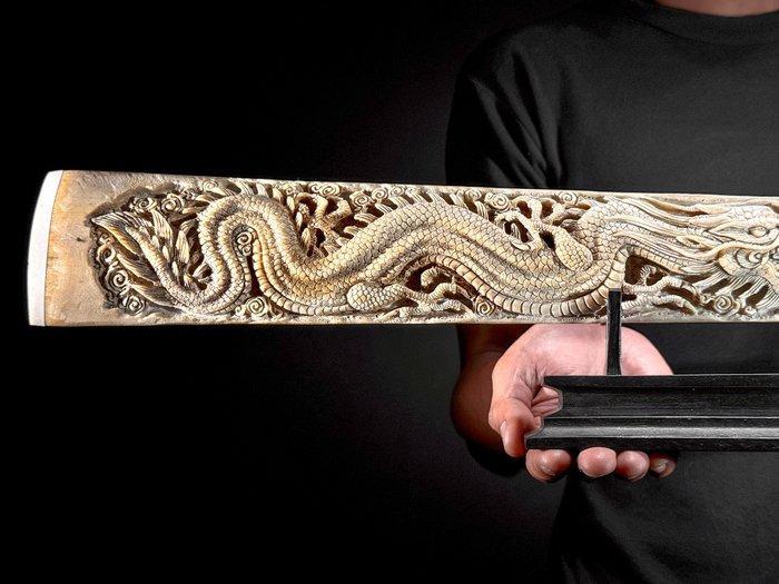 Geen minimumprijs - Prachtige grote zwaardviskaak op een, Verzamelen, Dierenverzamelingen