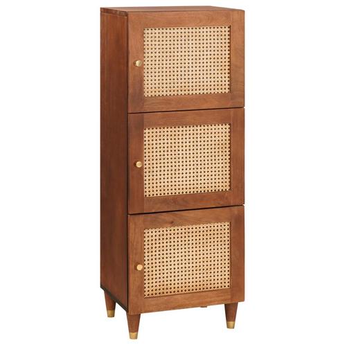 vidaXL met plank met opslag met de deur Bruin Riet en, Huis en Inrichting, Woonaccessoires | Cd- en Dvd-rekken, Nieuw, Verzenden