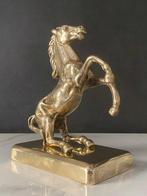 Beeldje - Cavallo rampante - Messing