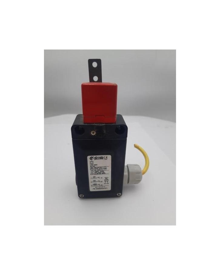 Pizzato FS 2996D024-F1 veiligheidsschakelaar, Zakelijke goederen, Machines en Bouw | Houtbewerking, Verzenden