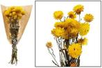 Helichrysum Geel bundel droogbloemen, Huis en Inrichting, Nieuw