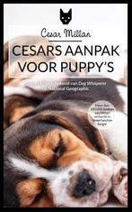 Cesars aanpak voor puppys 9789048831159 Cesar Millan, Boeken, Verzenden, Gelezen, Cesar Millan
