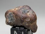 Meteoriet Imilac individueel Pallasite - 7.39 g, Verzamelen, Mineralen en Fossielen