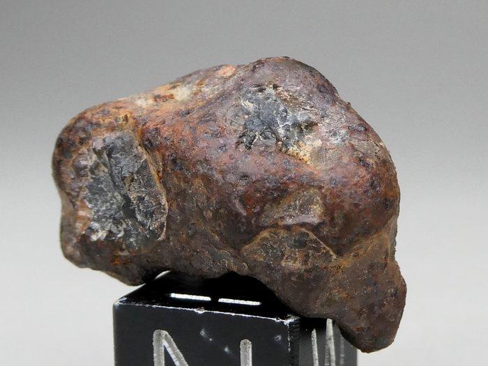 Meteoriet Imilac individueel Pallasite - 7.39 g, Verzamelen, Mineralen en Fossielen