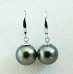 Oorbellen - 18 karaat Witgoud Parel - Groen-Blauw Pauw, Rond, Handtassen en Accessoires, Nieuw