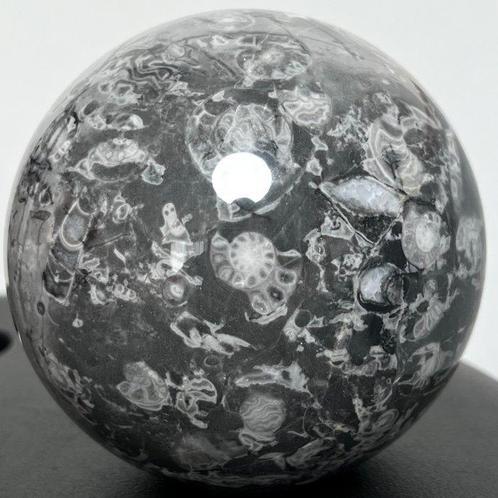 Schaalsteen Fijne Schelpsteen Bol - Hoogte: 9.49 cm -, Verzamelen, Mineralen en Fossielen
