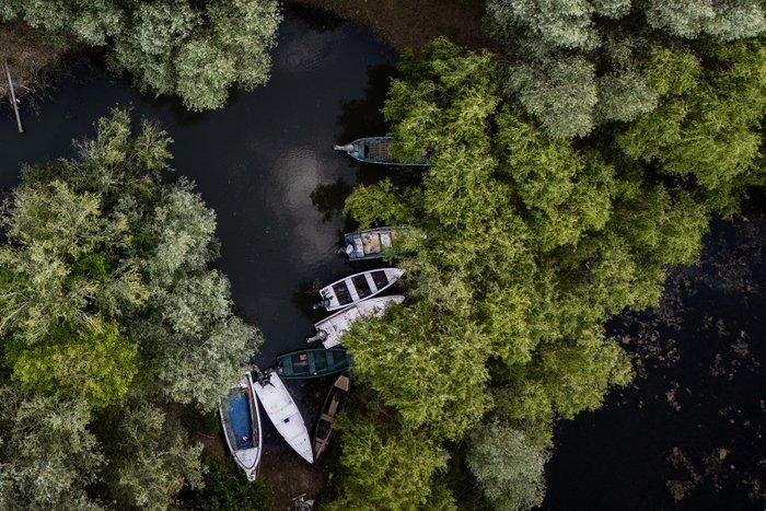 Alessandro Gandolfi - Danube Delta #1, Antiek en Kunst, Kunst | Designobjecten