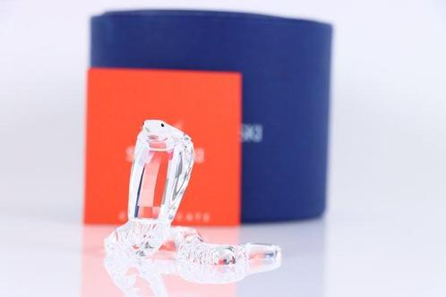 Figuur - Swarovski - Cobra (Boxed + certificate) - Kristal, Antiek en Kunst, Curiosa en Brocante