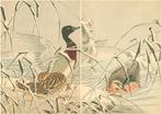 Kaitsuburi eend, riet bedekt met sneeuw - Imao Keinen, Antiek en Kunst