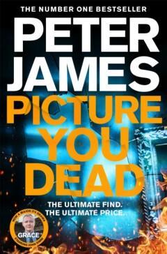 Picture You Dead / Roy Grace 9781529004380 Peter James, Livres, Langue | Anglais, Envoi