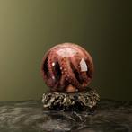 Octopus op Sterk Water Taxidermie Opgezette Dieren By Max, Opgezet dier, Ophalen of Verzenden