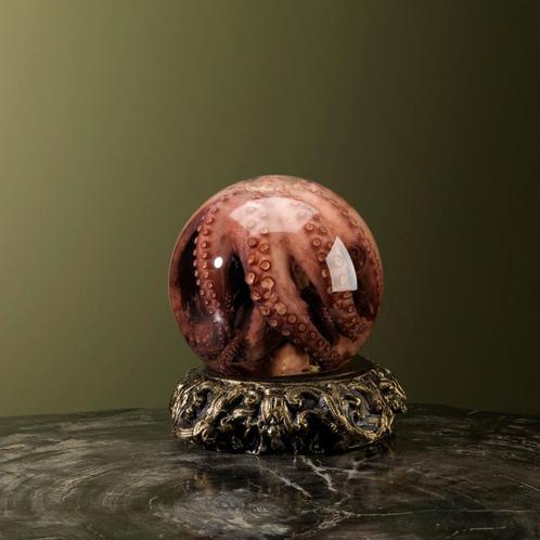 Octopus op Sterk Water Taxidermie Opgezette Dieren By Max, Collections, Collections Animaux, Enlèvement ou Envoi
