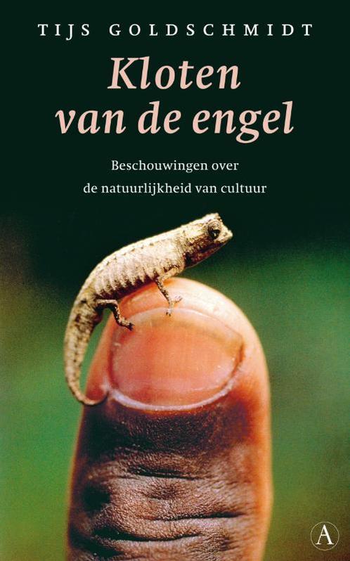 Kloten van de engel 9789025366926 T. Goldschmidt, Boeken, Literatuur, Gelezen, Verzenden