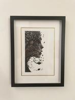 Gioele Pavan - Tra Radici e Volo