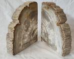 sculptuur, book holders - 4.5 cm - Fossiel Hout., Nieuw