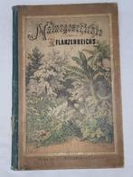 Schubert - Naturgeschichte des Pflanzenreichs - 1869