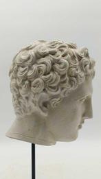 sculptuur, Testa di Eros - 33 cm - marmerstof