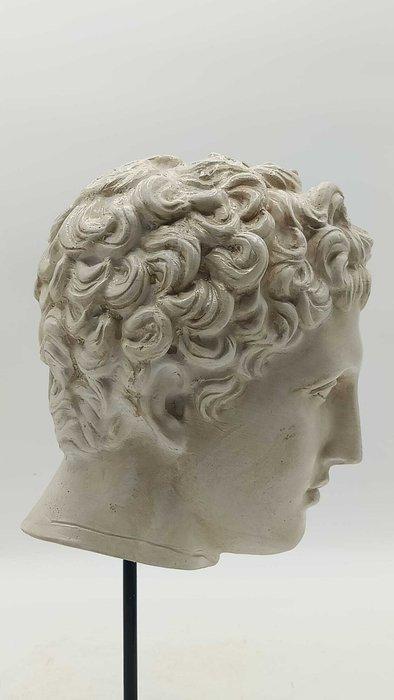 sculptuur, Testa di Eros - 33 cm - marmerstof, Antiek en Kunst, Antiek | Keramiek en Aardewerk