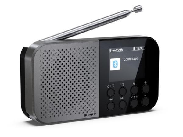Veiling - Sharp DR-P520 Osaka Portable DAB+ en FM radio, Audio, Tv en Foto, Radio's