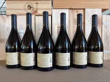 2024 Terlano Winkl Sauvignon Blanc - Trentin-Haut-Adige