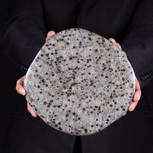 Granato Almandino en matrice de mica schiste. Cristaux de, Verzamelen, Dierenverzamelingen