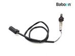 Lambda Sonde Triumph Sprint RS 955i 1999-2004, Motoren, Verzenden, Gebruikt