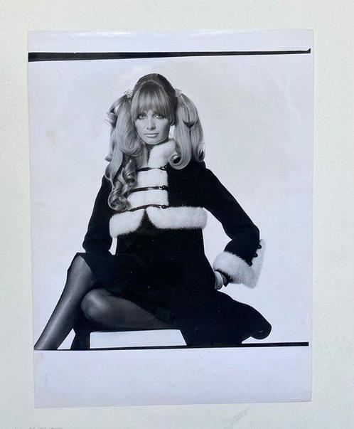 Irving Penn - Sue Murray in Yves Saint Laurent for US Vogue., Antiek en Kunst, Kunst | Schilderijen | Modern