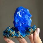 280 g Koningsblauw CHALCANTHITE Kristal op koperen