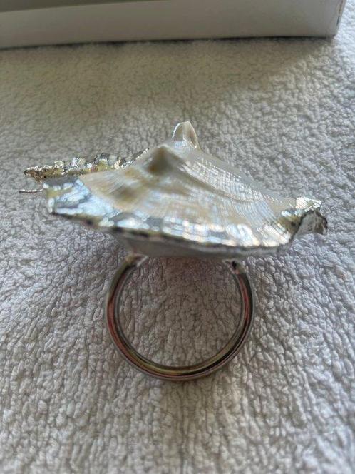 Unknown - Unknown - Tafelservies (6) - Seashell shaped, Antiek en Kunst, Antiek | Keukengerei