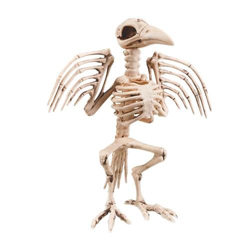 Halloween Skelet Kraai 32cm, Hobby & Loisirs créatifs, Articles de fête, Envoi