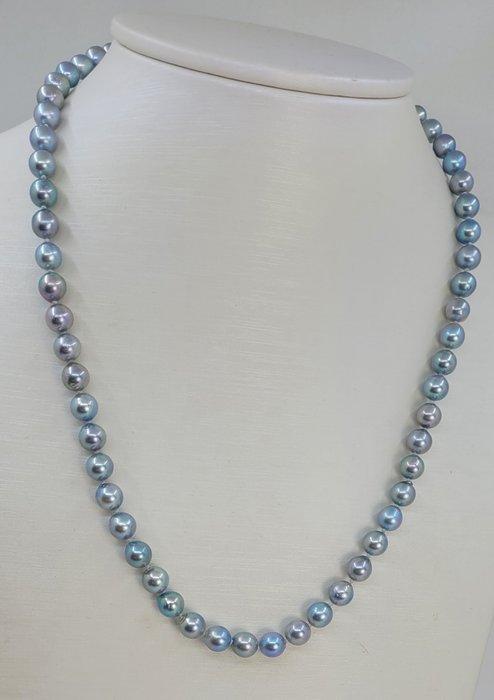 Halsketting 6x6,5 mm zilveren Akoya-parels, Handtassen en Accessoires, Kettingen