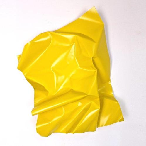 José Soler Art - Sculpture, Steel Silk. Lemon - 60 cm -, Antiek en Kunst, Kunst | Schilderijen | Modern