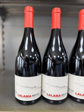 2017 Dominio do Bibei, Lalama - Ribeira Sacra - 5 Bouteilles