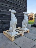Beeld, Iron Greyhounds on Base - 66 cm - IJzer, Antiek en Kunst