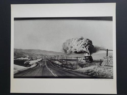 Elliott Erwitt (1928-2023) - Etats-Unis, 1954, Antiek en Kunst, Kunst | Schilderijen | Modern