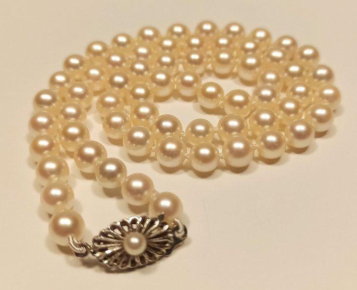 Sans prix de réserve - Collier de perles - 18 carats Or, Bijoux, Sacs & Beauté, Bijoux anciens